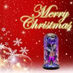 Christmas Flowers Gifts for her Women Mom Wife,Womens Gifts for Christmas